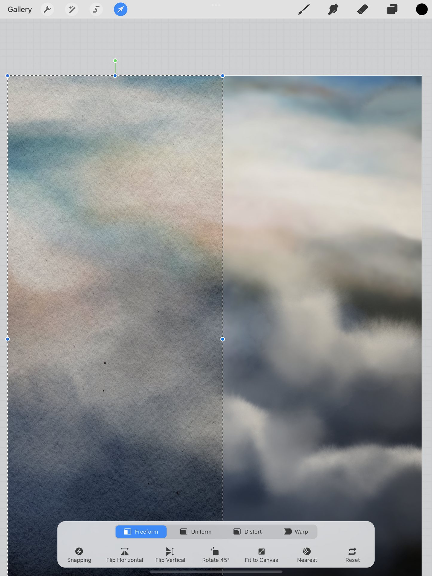 MINI Procreate Paper Canvas