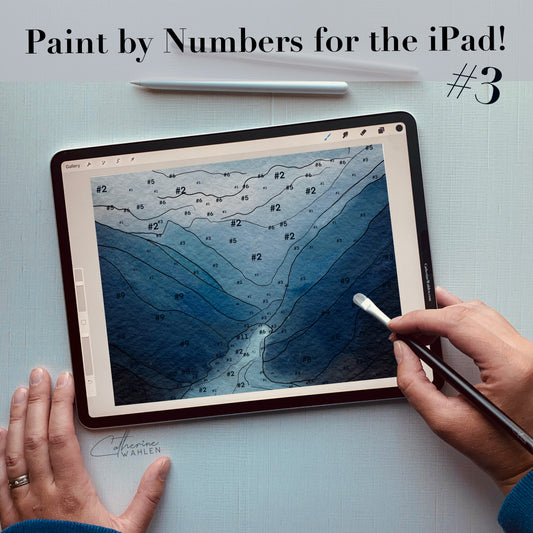 Paint By Numbers #3